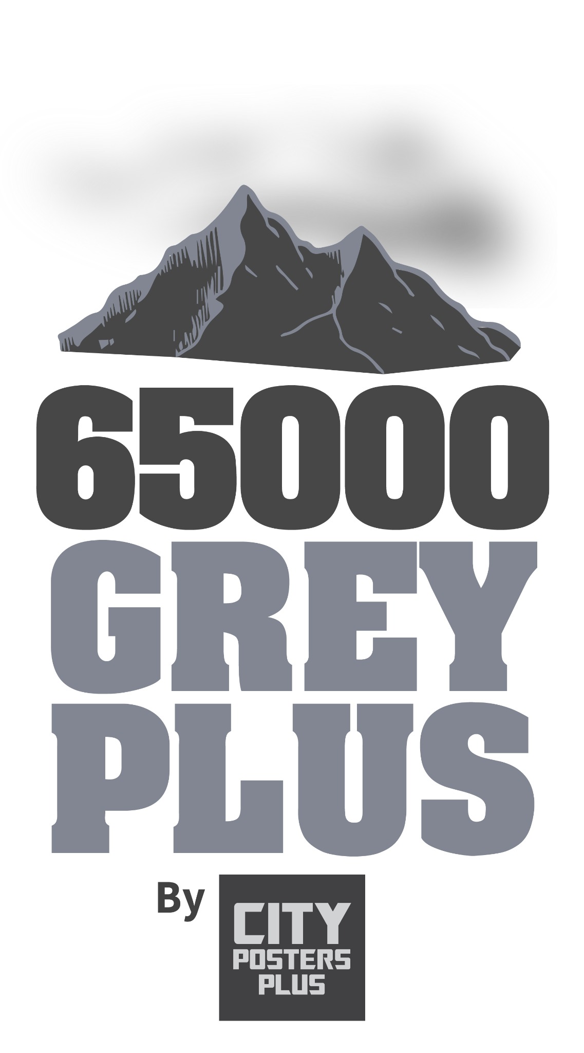 65000 Grey Plus logo